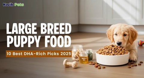 Large Breed Puppy Food – 10 Best DHA-Rich Picks 2025