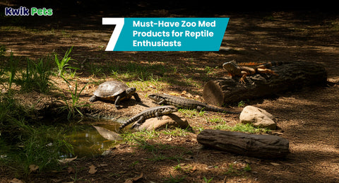7 Must-Have Zoo Med Products for Reptile Enthusiasts