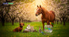 Easter Day Celebration with Pets: Make It Happy & Pawsome!