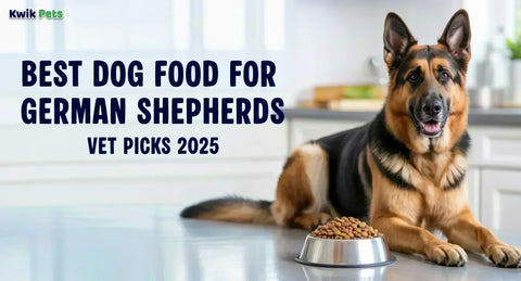 Best Dog Food for German Shepherds – Vet Picks 2025