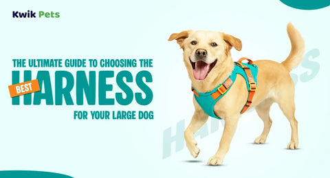 The Ultimate Guide to Choosing the Best Harness for Your Large Dog