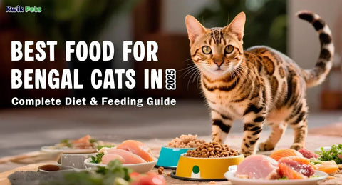 Best Food for Bengal Cats in 2025: Complete Diet & Feeding Guide