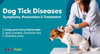 Dog Tick Diseases – Symptoms, Prevention, & Treatment