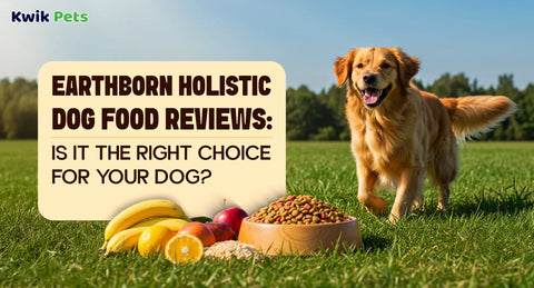 Earthborn Holistic Dog Food Reviews: Is It the Right Choice for Your Dog?