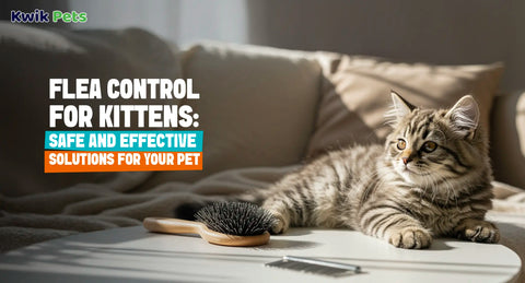 Flea Control for Kittens: Safe and Effective Solutions for Your Pet