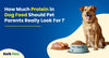 How Much Protein in Dog Food Should Pet Parents Really Look For?