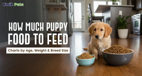 How Much Puppy Food to Feed – Charts by Age, Weight & Breed Size