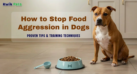 How to Stop Food Aggression in Dogs: Proven Tips and Training Techniques