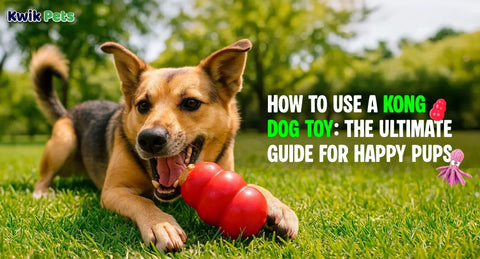 How to Use a KONG Dog Toy: The Ultimate Guide for Happy Pups