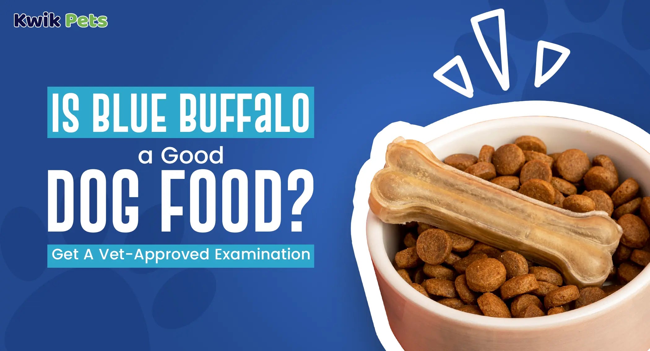Is Blue Buffalo a Good Dog Food? Get A Vet-Approved Examination