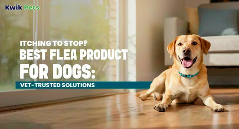 Best Flea Product for Dogs: Vet-Trusted Solutions