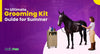 Summer Horse Care Made Easy with the Right Grooming Kit