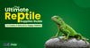 Ultimate Reptile Supplies Guide for a Natural, Happy Habitat