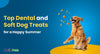 Top Dental and Soft Dog Treats for a Happy Summer