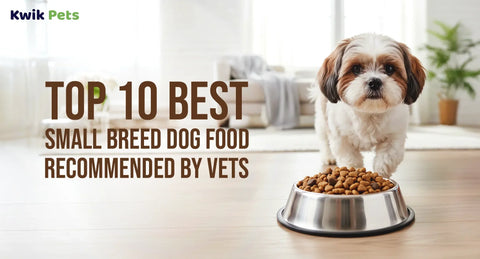 Top 10 Best Small Breed Dog Food Recommended by Vets