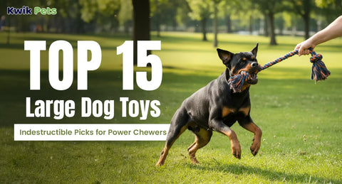 Top 15 Large Dog Toys – Indestructible Picks for Power Chewers
