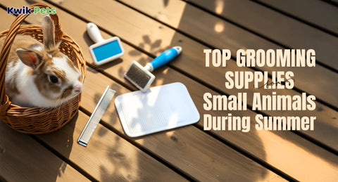 Top Grooming Supplies for Small Animals