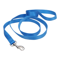 Coastal Single-Ply Nylon Dog Leash Blue Lagoon 5/8 in X 6 ft