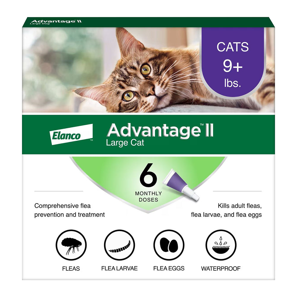 Elanco Advantage II 6-Month Supply Topical Flea Treatment & Prevention for Large Cats Over