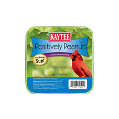 Kaytee Positively Peanut High Energy Wild Birds Mini Suet 11-oz