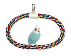 JW Pet Swing N Perch Ring Bird Toy Multicolor Medium