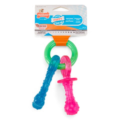 Nylabone Puppy Chew Teething Pacifier Toy Bacon Small/Regular - Up To 25 lbs